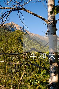 平和大溪律师 平和大溪律师
