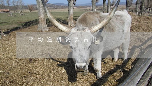平均逾期贷款占比 平均逾期贷款占比
