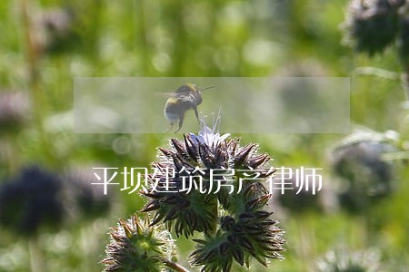 平坝建筑房产律师 平坝建筑房产律师