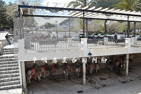 平坝房屋合同纠纷 平坝房屋合同纠纷