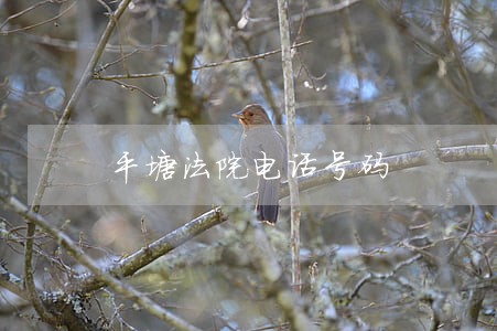 平塘法院电话号码