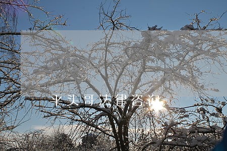 平头哥法律咨询 平头哥法律咨询