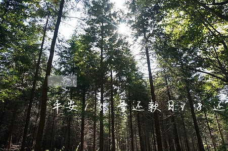 平安15号还款日18还算逾期么 平安15号还款日18还算逾期么
