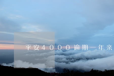 平安4000逾期一年亲身经历