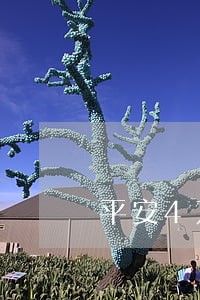 平安4万逾期费用多少 平安4万逾期费用多少