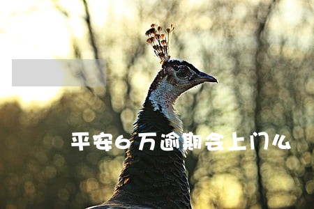 平安6万逾期会上门么 平安6万逾期会上门么