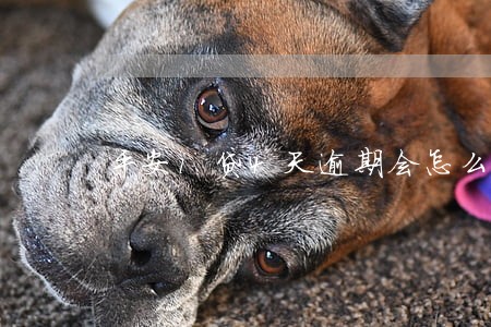 平安i贷4天逾期会怎么样 平安i贷4天逾期会怎么样