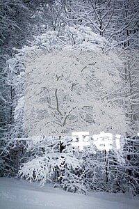 平安i贷信用卡逾期可以办吗 平安i贷信用卡逾期可以办吗