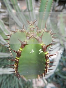平安i贷催逾期1年