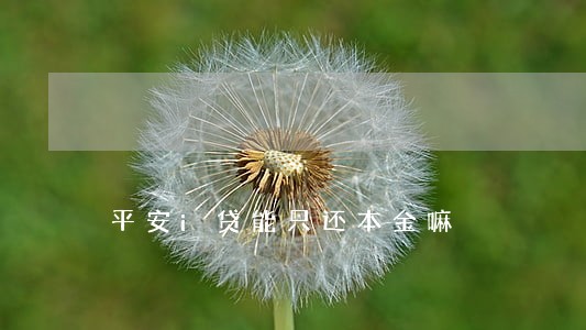 平安i贷能只还本金嘛
