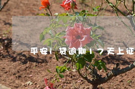 平安i贷逾期17天上征信不 平安i贷逾期17天上征信不