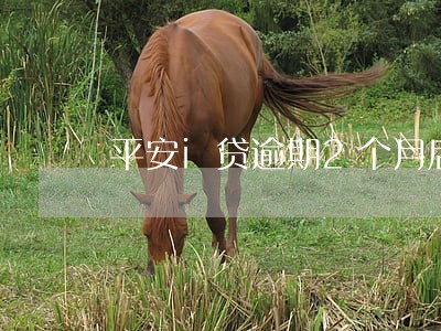 平安i贷逾期2个月后果 平安i贷逾期2个月后果