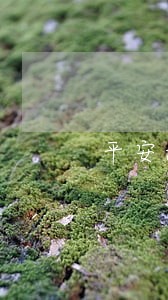 平安i贷逾期2天报警