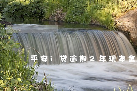 平安i贷逾期2年现本金分4期