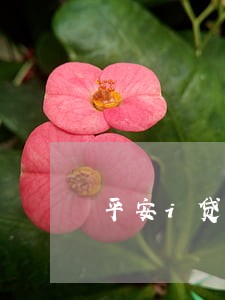 平安i贷逾期3年减免 平安i贷逾期3年减免