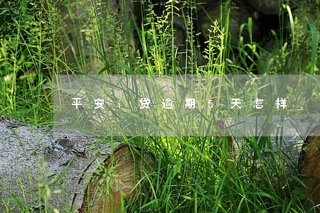 平安i贷逾期5天怎样 平安i贷逾期5天怎样