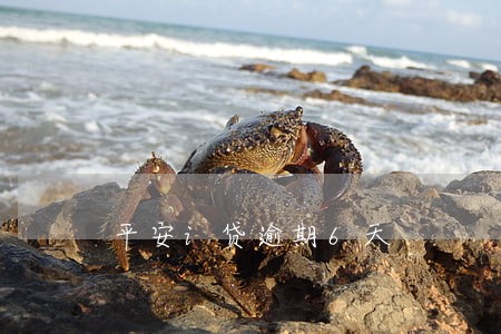 平安i贷逾期6天 平安i贷逾期6天