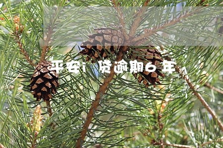 平安i贷逾期6年