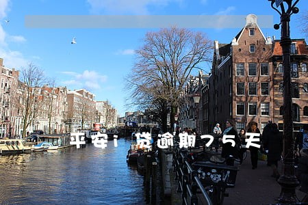 平安i贷逾期75天 平安i贷逾期75天