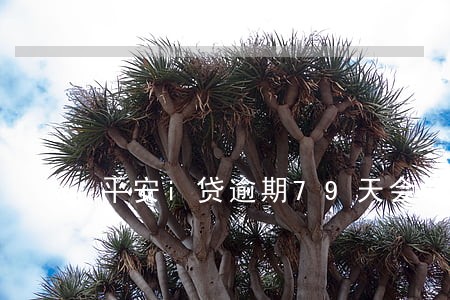 平安i贷逾期79天会怎样 平安i贷逾期79天会怎样