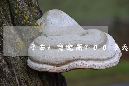 平安i贷逾期900多天会上门吗 平安i贷逾期900多天会上门吗
