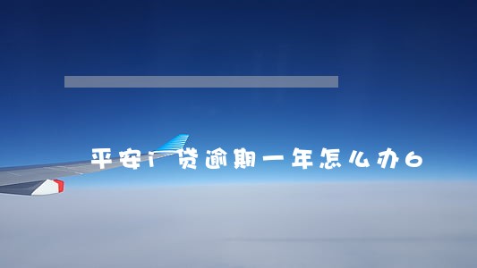 平安i贷逾期一年怎么办6 平安i贷逾期一年怎么办6