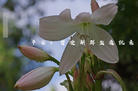 平安i贷逾期群发通讯录6 平安i贷逾期群发通讯录6