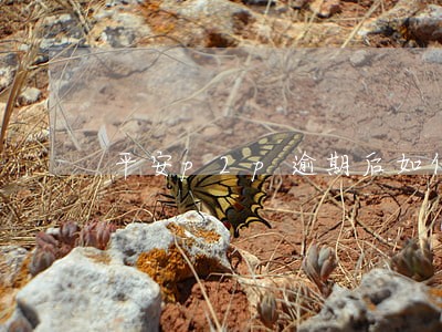 平安p2p逾期后如何善后 平安p2p逾期后如何善后