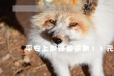 平安上期账单逾期11元怎么还 平安上期账单逾期11元怎么还