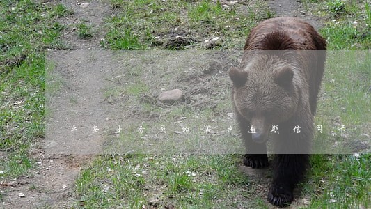 平安业务员的客户逾期信用卡 平安业务员的客户逾期信用卡