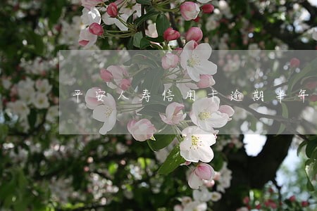 平安人寿信用卡逾期半年 平安人寿信用卡逾期半年