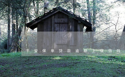 平安保单贷款逾期上征信吗 平安保单贷款逾期上征信吗
