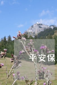 平安保单贷款逾期怎么还款 平安保单贷款逾期怎么还款