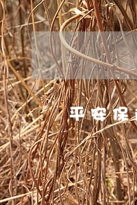 平安保险20年10年逾期五年 平安保险20年10年逾期五年
