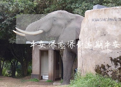 平安保险保费逾期平安信用卡降额 平安保险保费逾期平安信用卡降额