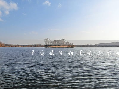 平安保险信用卡逾期吗