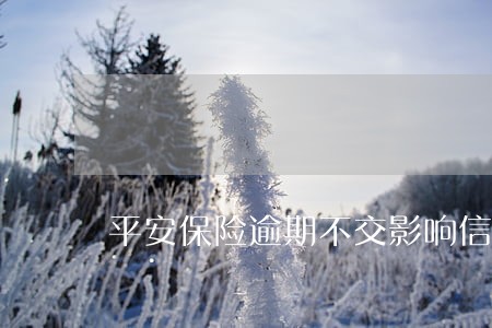 平安保险逾期不交影响信用吗 平安保险逾期不交影响信用吗