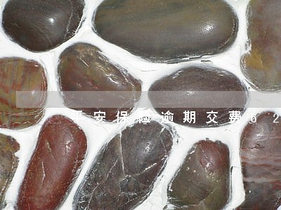 平安保险逾期交费62天 平安保险逾期交费62天