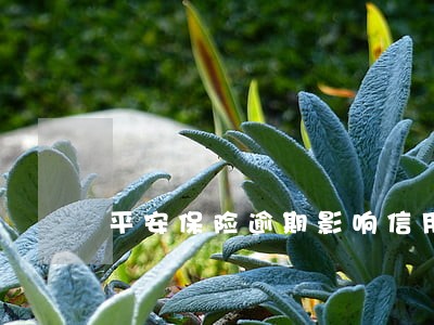 平安保险逾期影响信用卡么 平安保险逾期影响信用卡么
