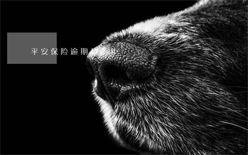 平安保险逾期超2年 平安保险逾期超2年