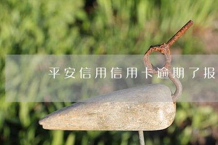 平安信用信用卡逾期了报警抓我