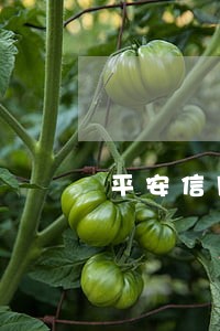 平安信用卡2万逾期3个月 平安信用卡2万逾期3个月