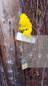 平安信用卡3万逾期会坐牢吗