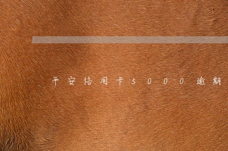 平安信用卡5000逾期两年 平安信用卡5000逾期两年