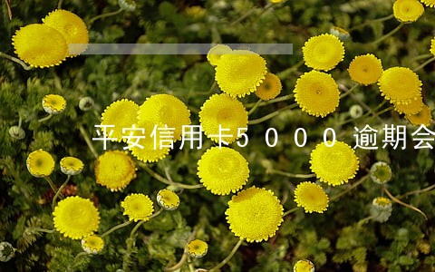 平安信用卡5000逾期会上门吗 平安信用卡5000逾期会上门吗