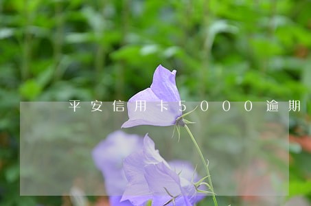 平安信用卡5000逾期四年