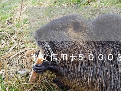 平安信用卡5000额度逾期 平安信用卡5000额度逾期