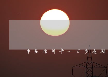 平安信用卡一万多逾期一年多了