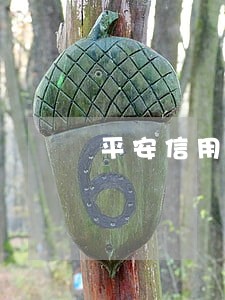 平安信用卡一般几天算逾期 平安信用卡一般几天算逾期