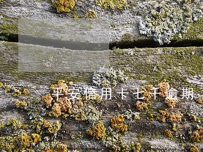 平安信用卡七千逾期 平安信用卡七千逾期